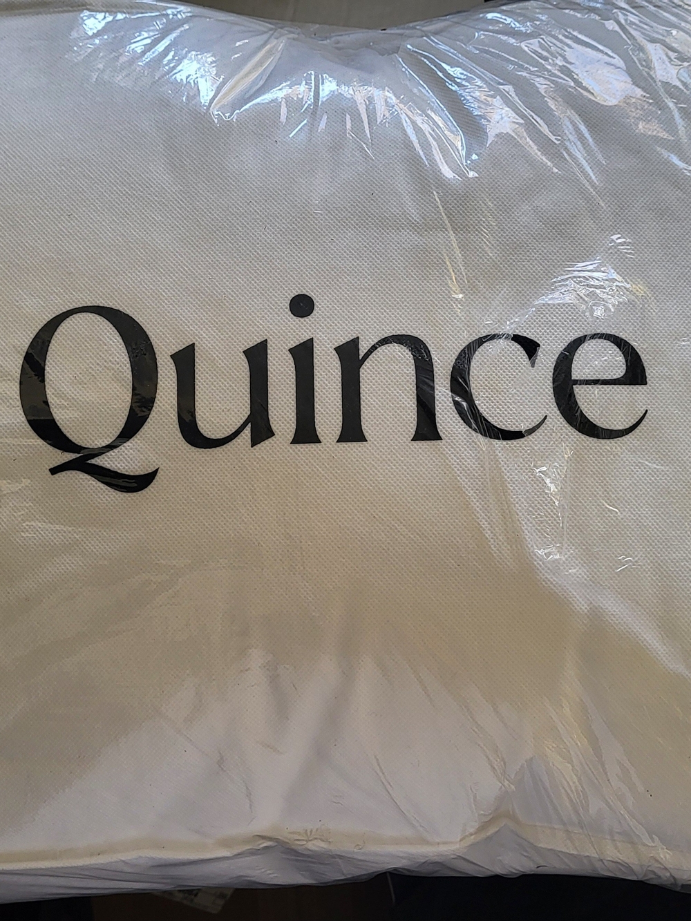 Quince Down Alternative Pillow